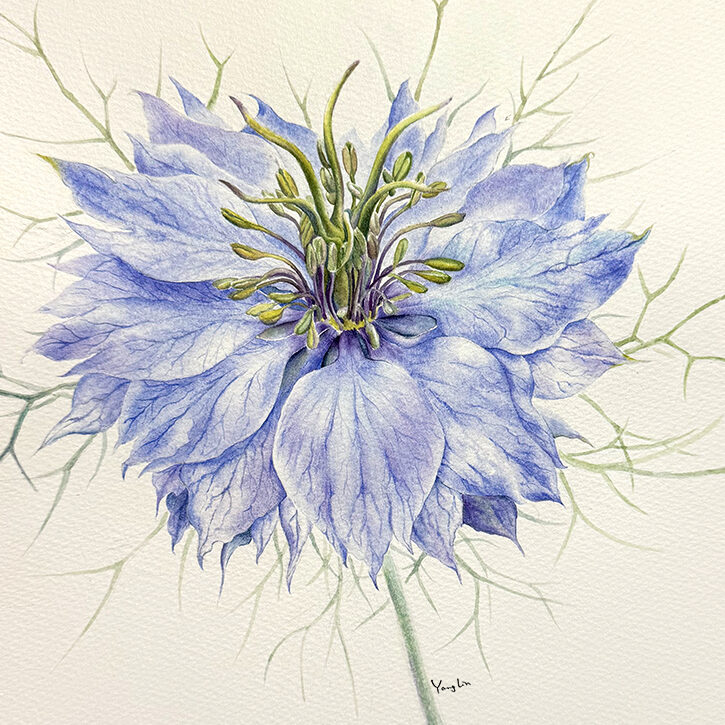 (Watercolor on Paper)